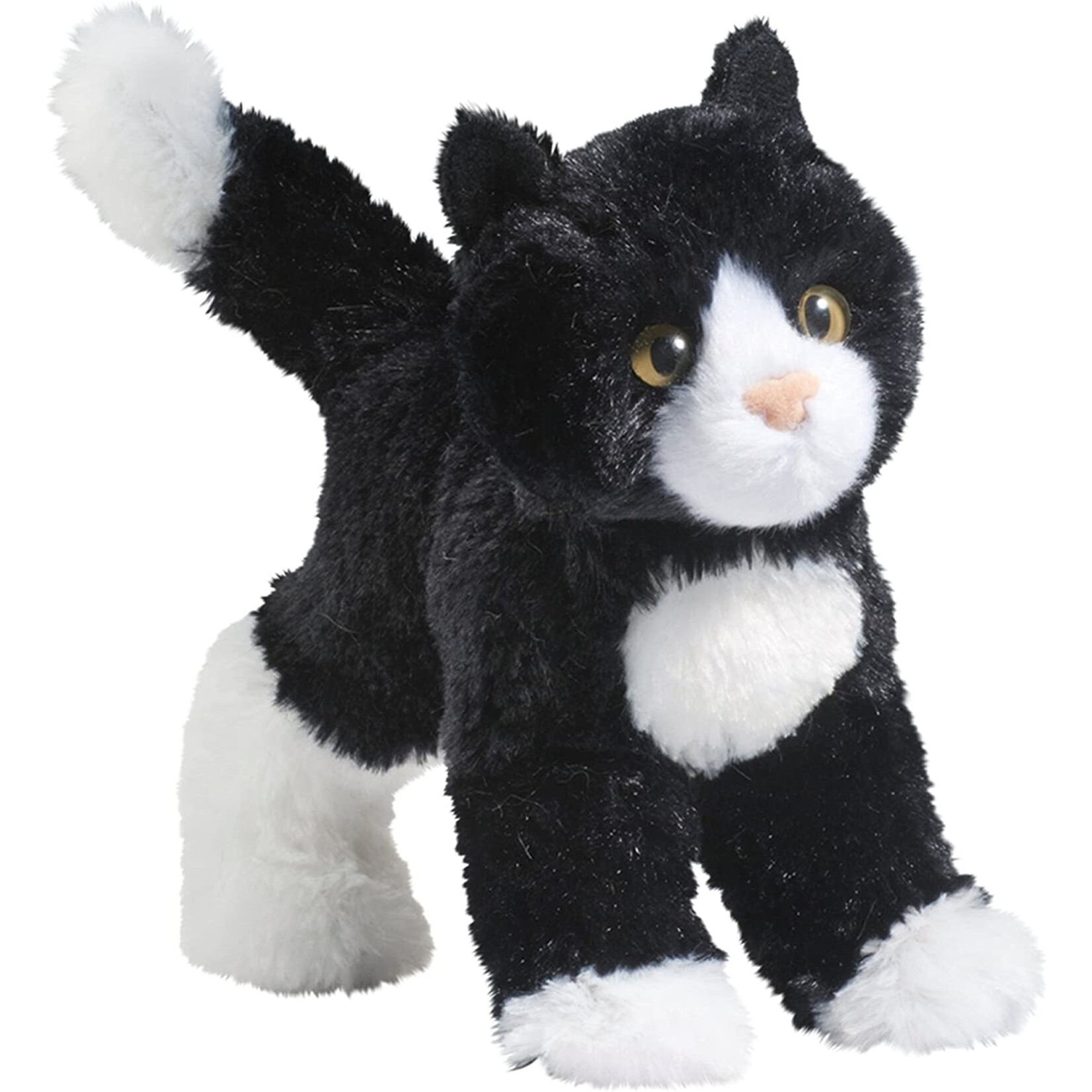 Snippy Black White Cat