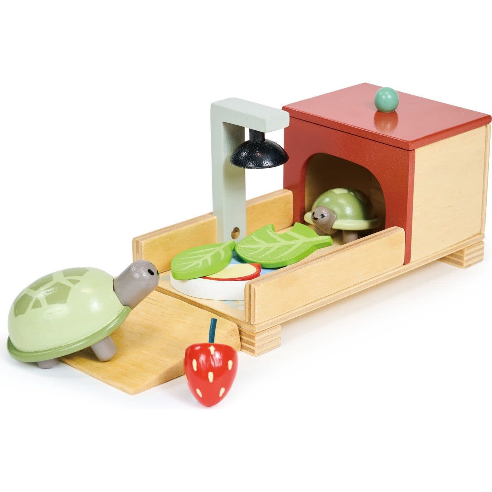 Tortoise Pet Set