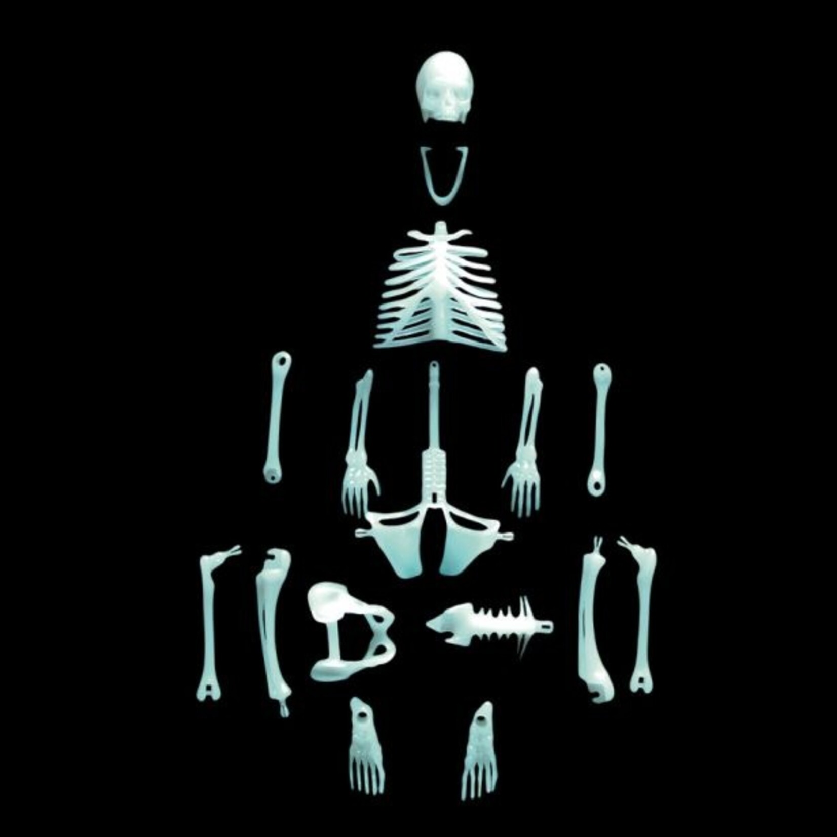 Compact Curiosity: Human Skeleton