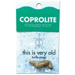 Compact Curiosity: Coprolite