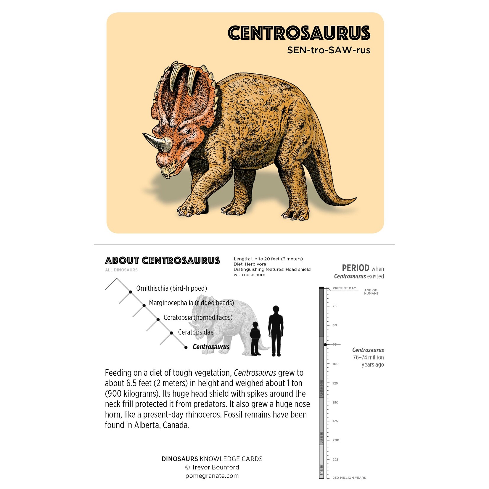 Dinosaurs Knowledge Cards