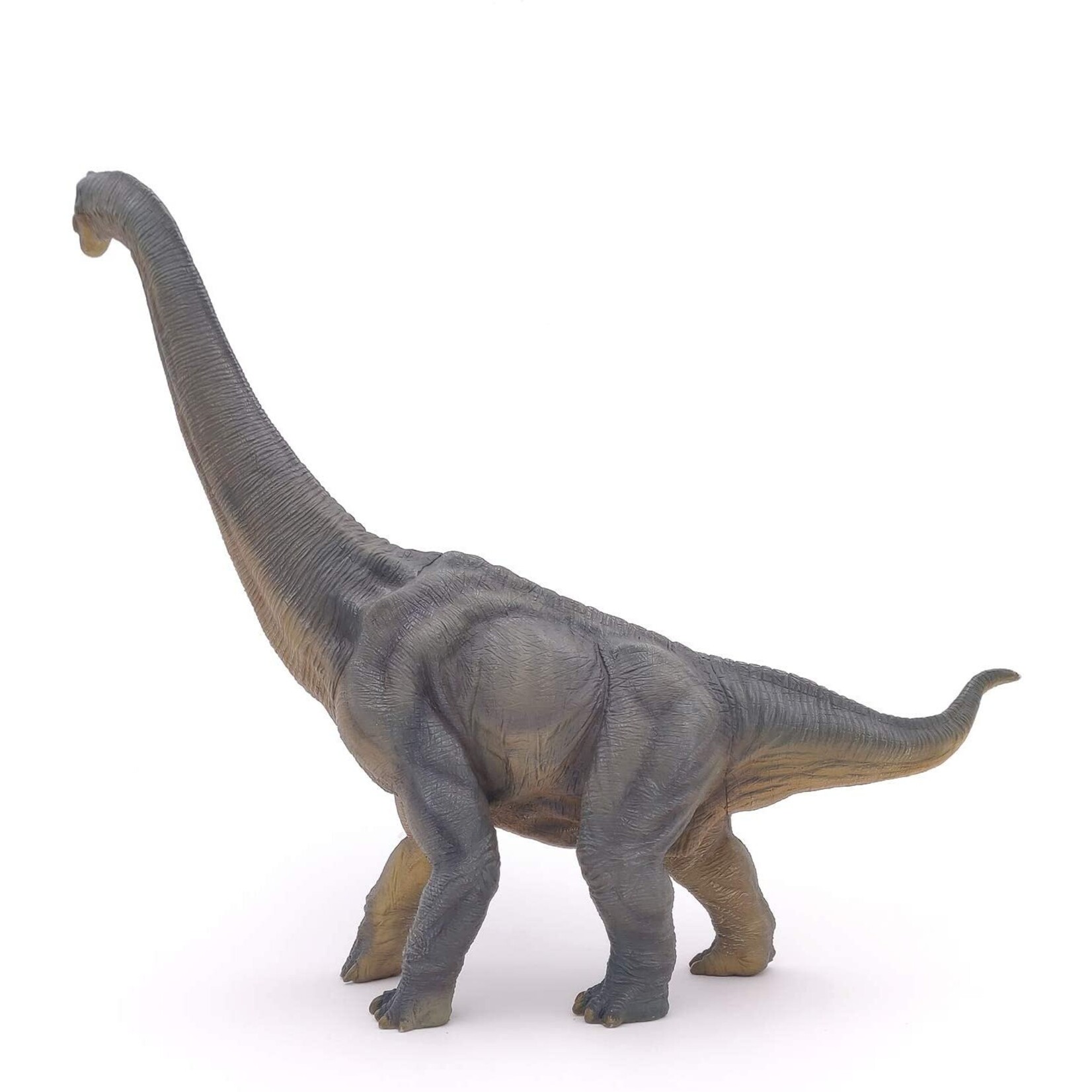 Brachiosaurus Papo Figure