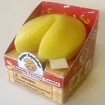 Squishy Fortune Cookie