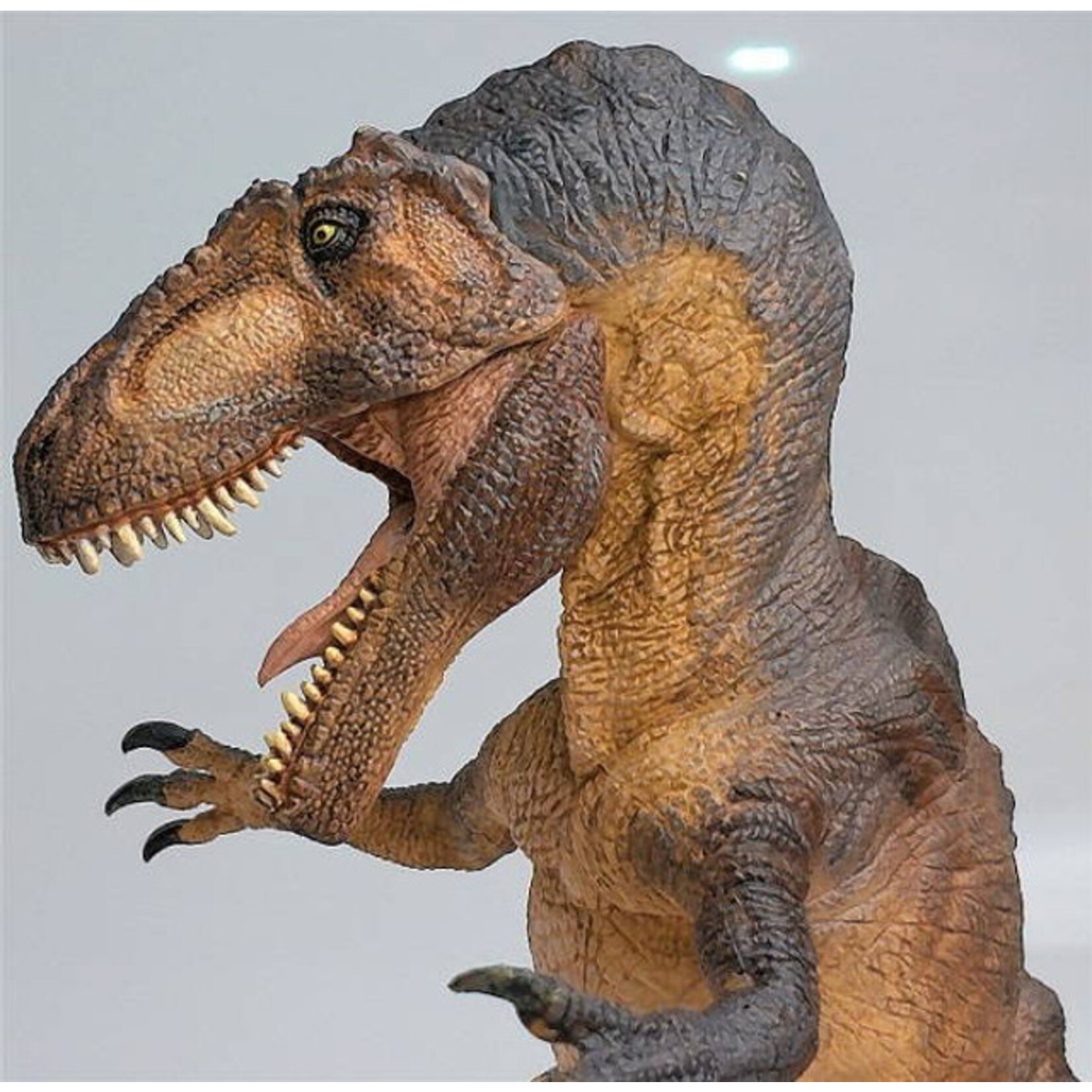 Giganotosaurus Papo Figure