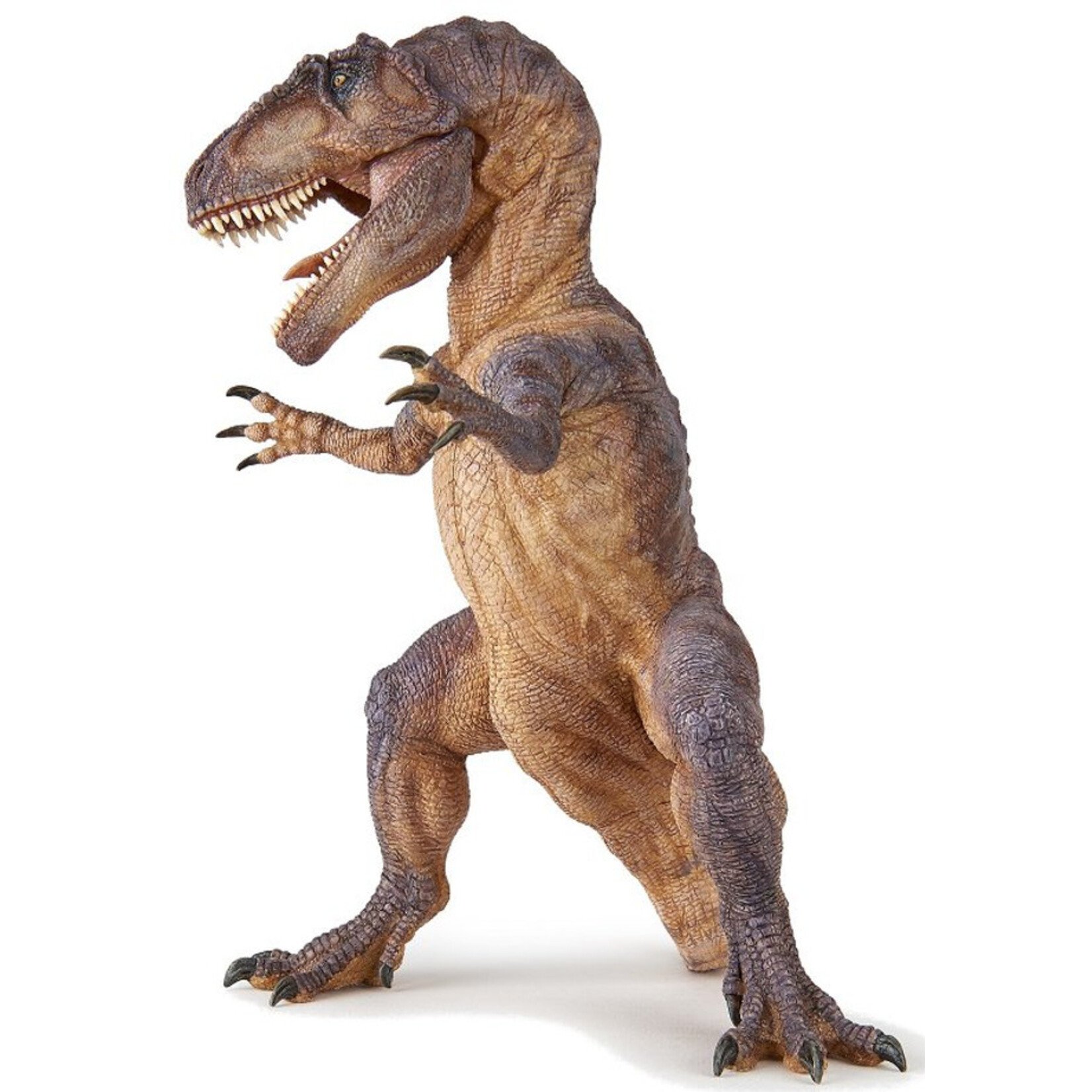 Giganotosaurus Papo Figure Toy Joy