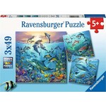 Ocean Life 3pk 49pc Puzzle