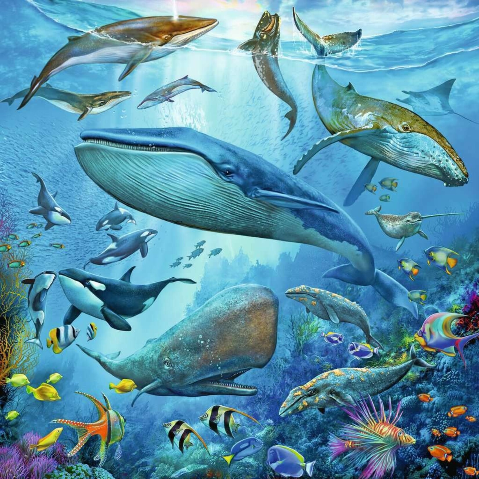 Ocean Life 3pk 49pc Puzzle