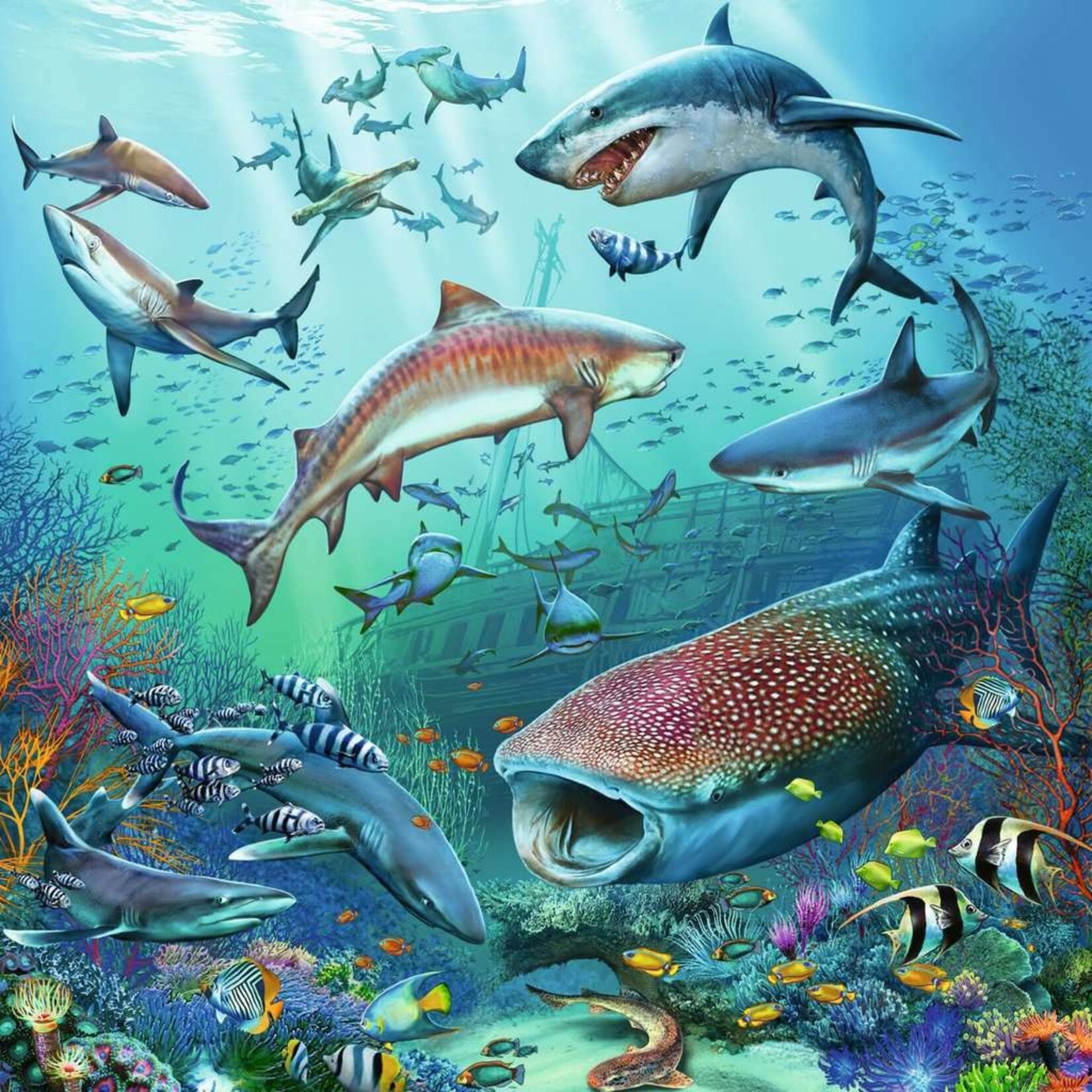 Ocean Life 3pk 49pc Puzzle