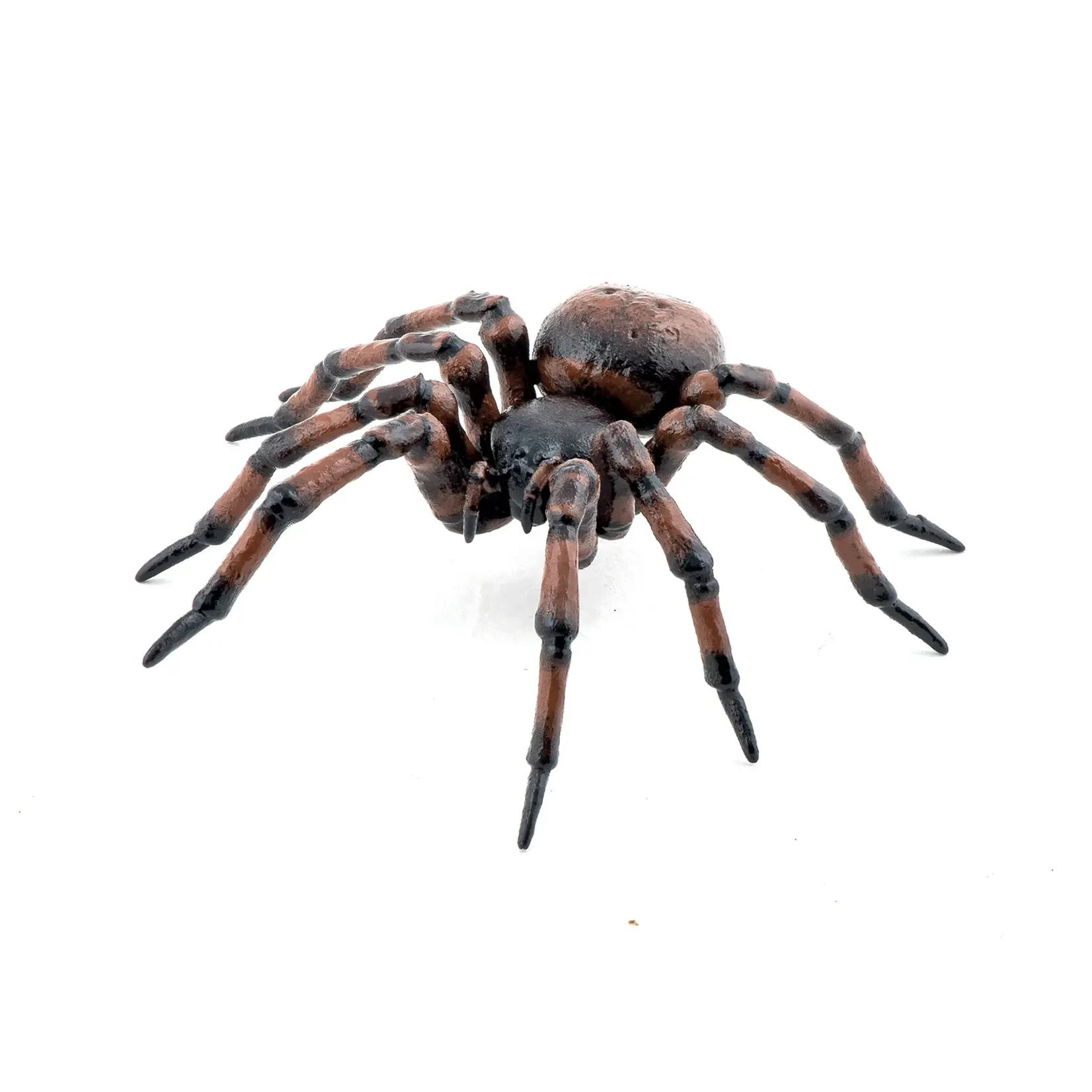 Common Spider Papo Figure