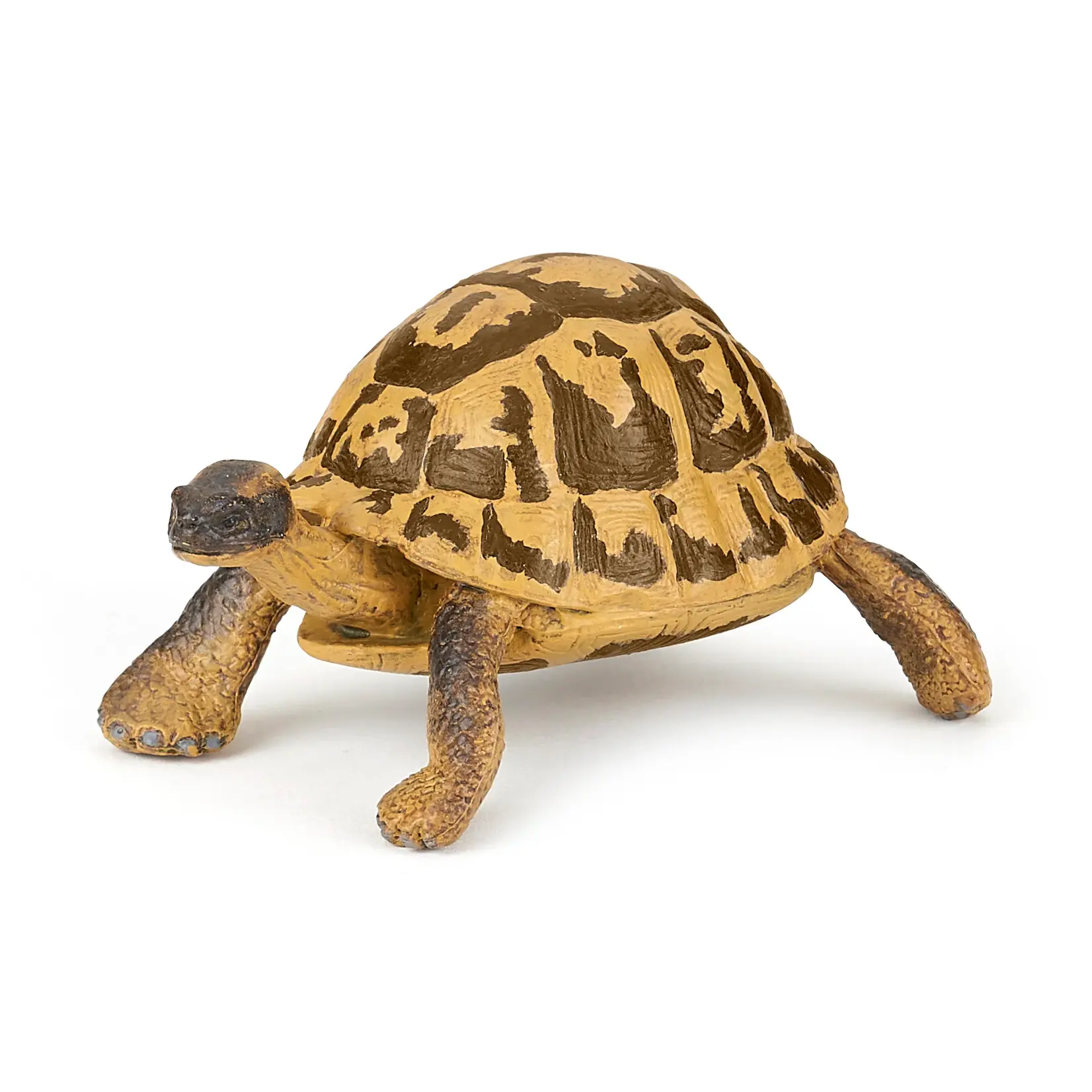 Hermann's Tortoise Papo Figure