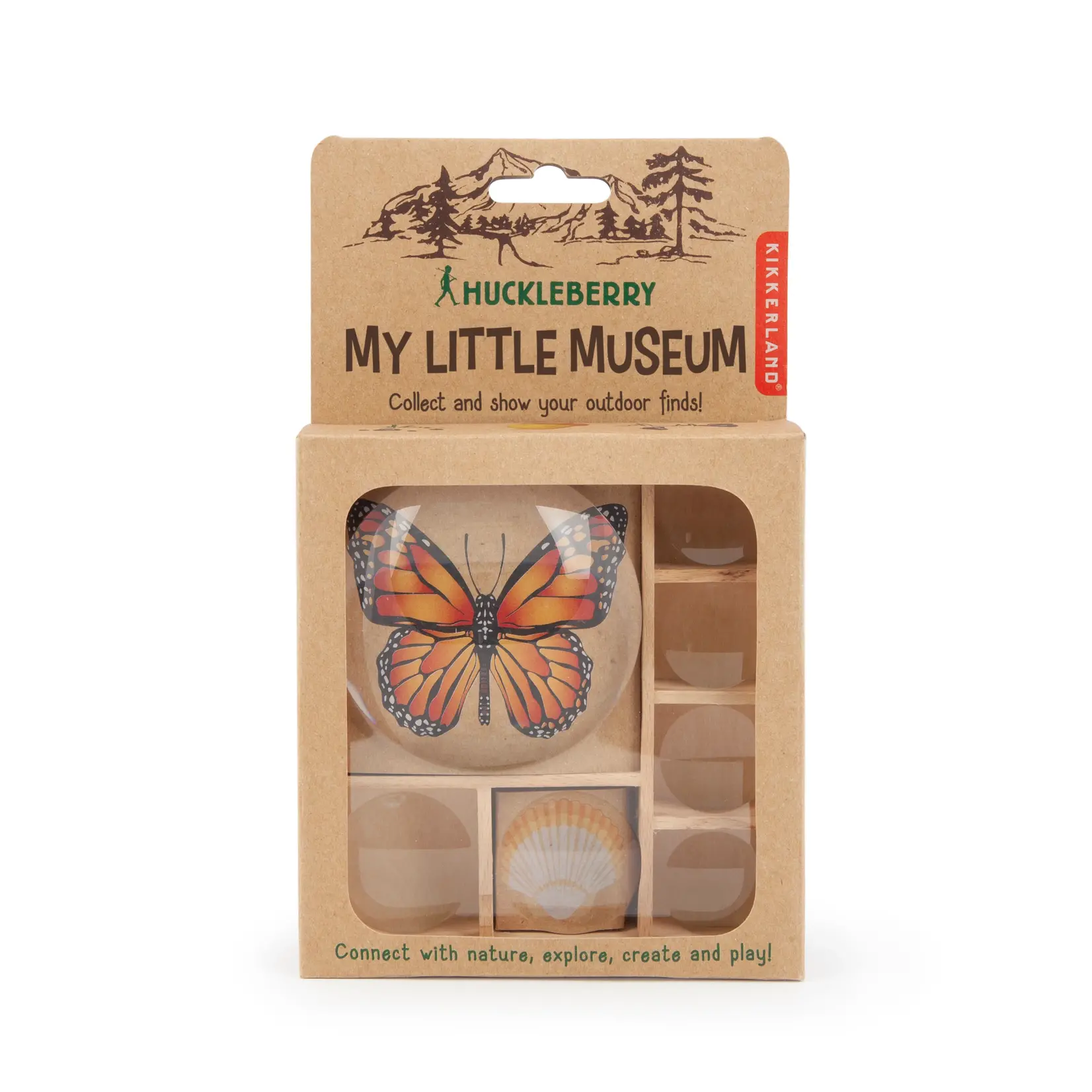 Little Museum Huckleberry Bug Box Kit