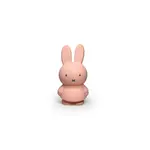 Atelier Pierre Miffy Coin Bank Small