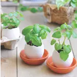 Eggling Planter Basil