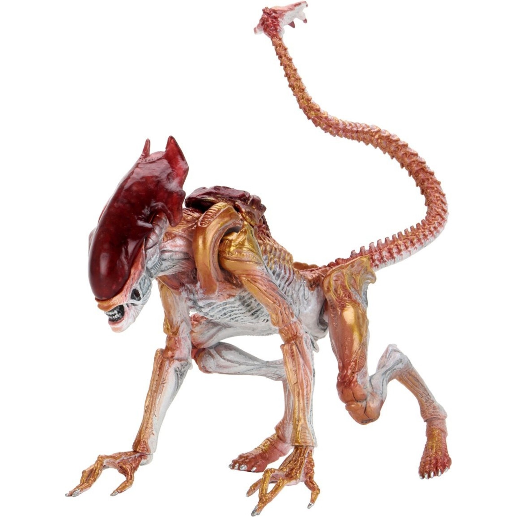 Figure Alien Panther Kenner NECA
