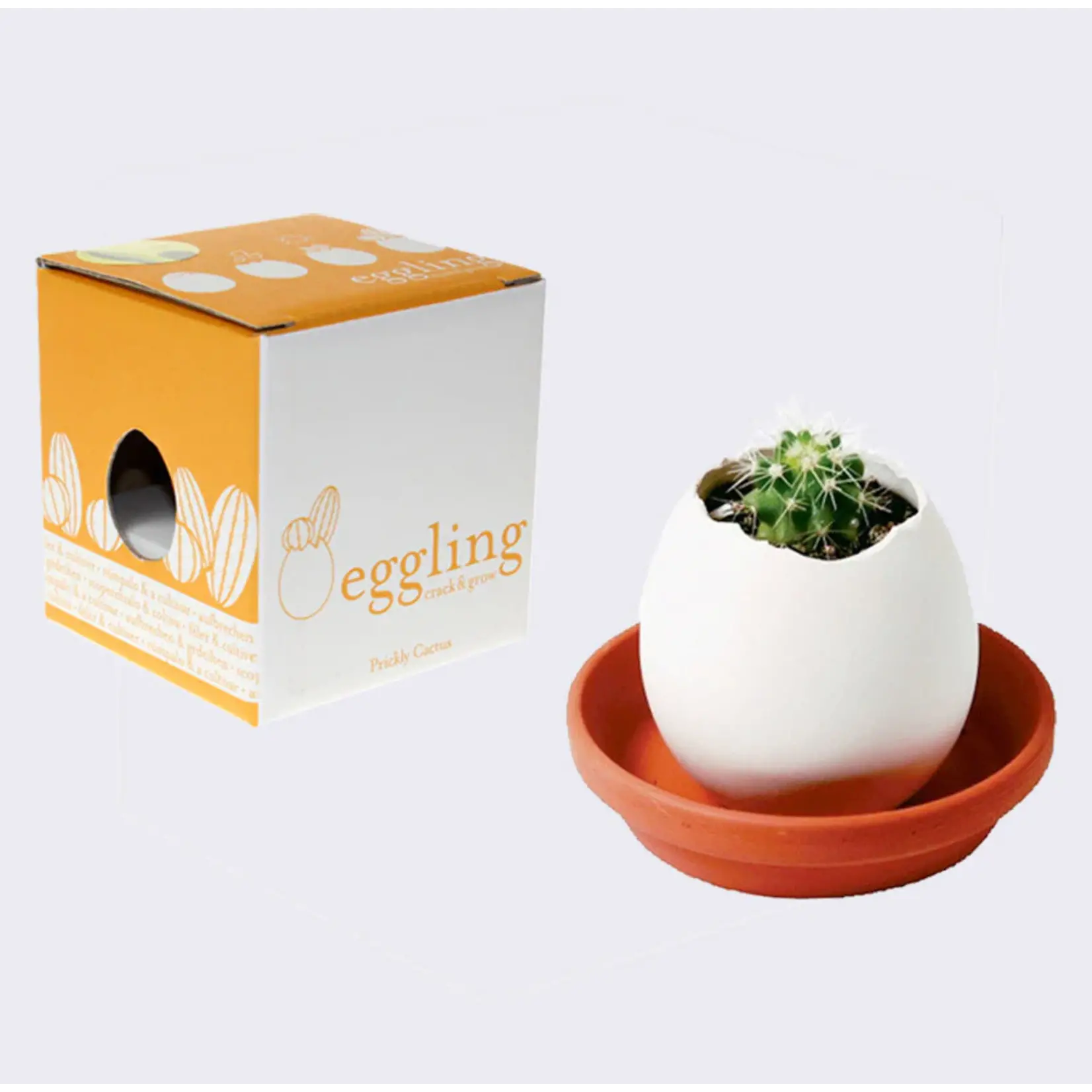 Eggling Planter Prickly Cactus