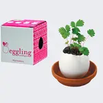 Eggling Planter Wild Strawberry