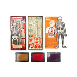 Anatomy Stamp Set