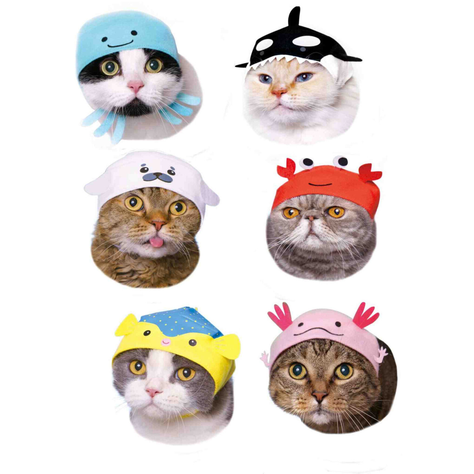 Cat Cap Blind Box Aquarium Vol. 2