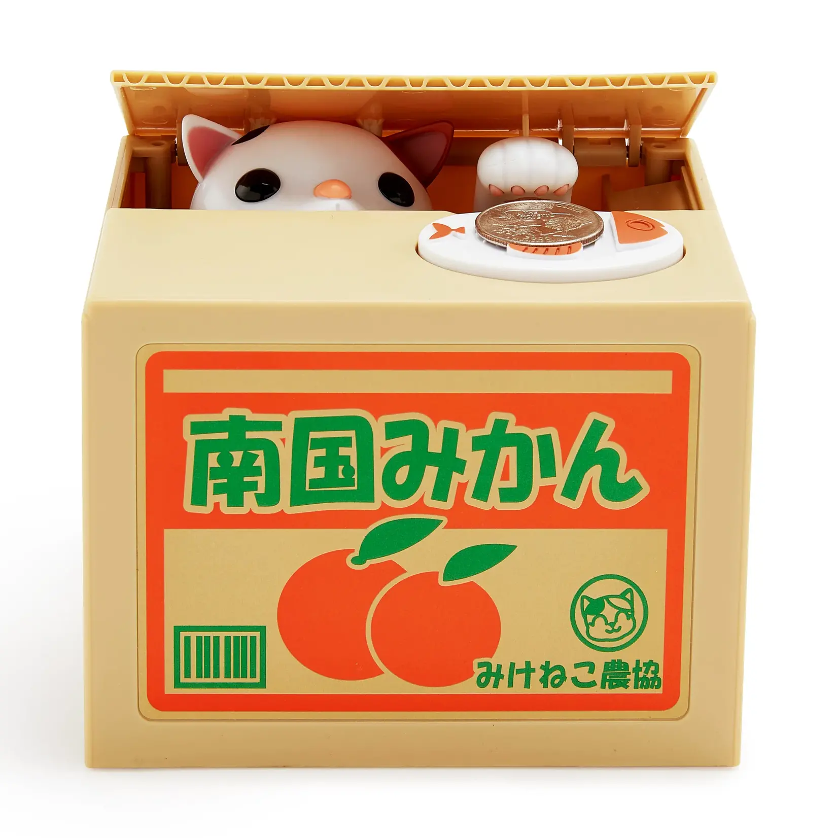 Cat in Box Coin Bank