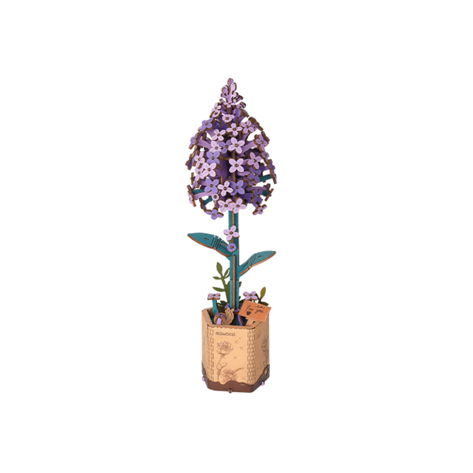 Lilac Model Kit