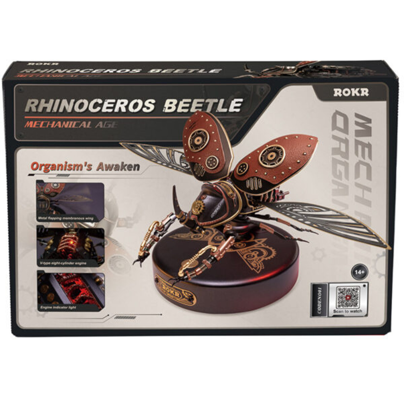 Rhinoceros Beetle Model