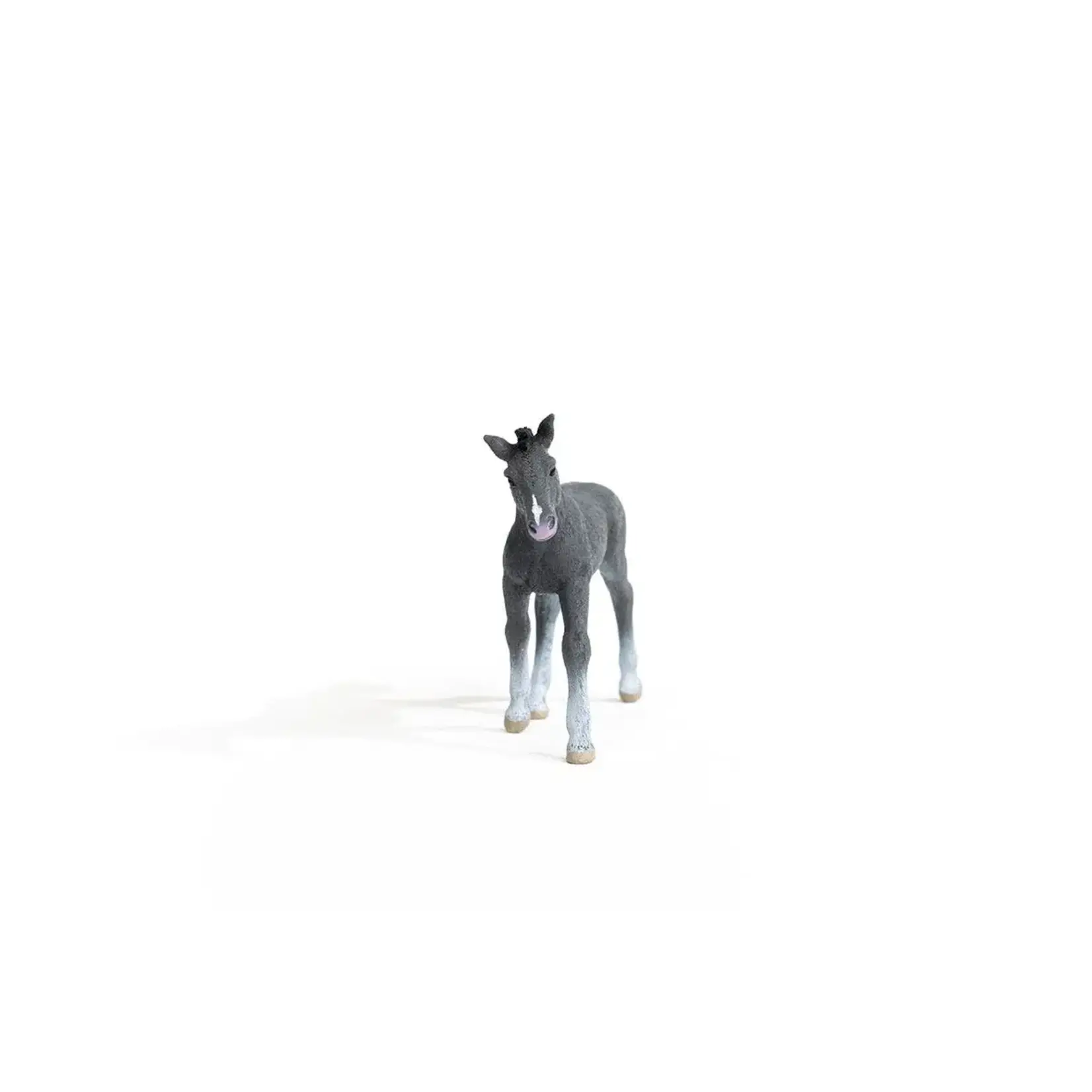 Schleich Trakehner Foal Figure