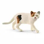 Schleich American Shorthair Cat Figure