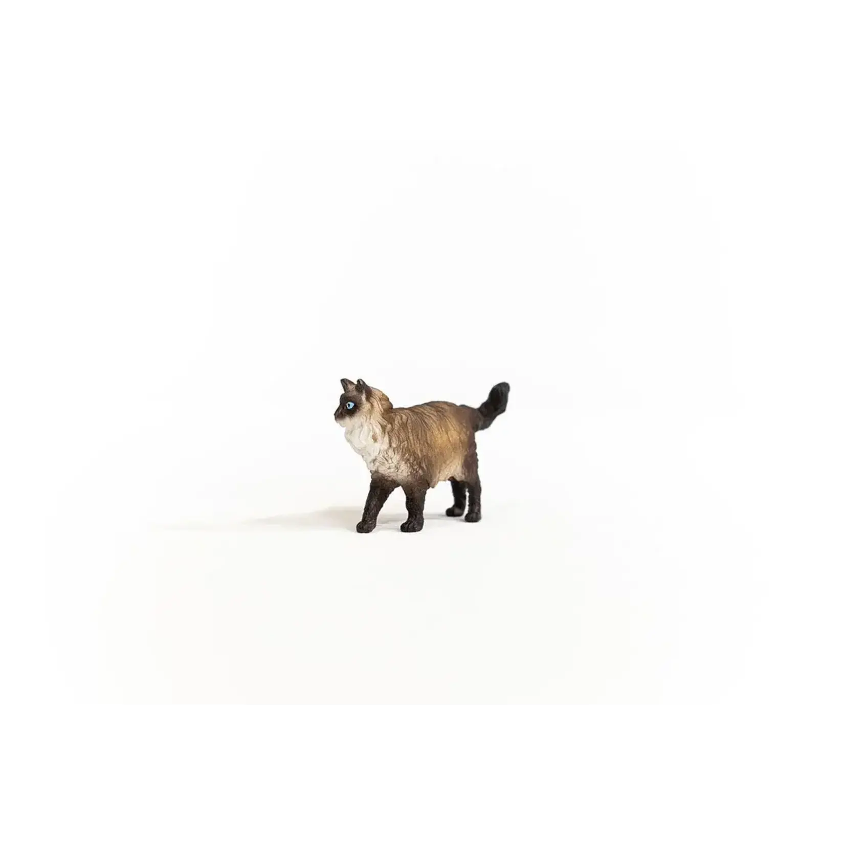 Schleich Ragdoll Cat Figure