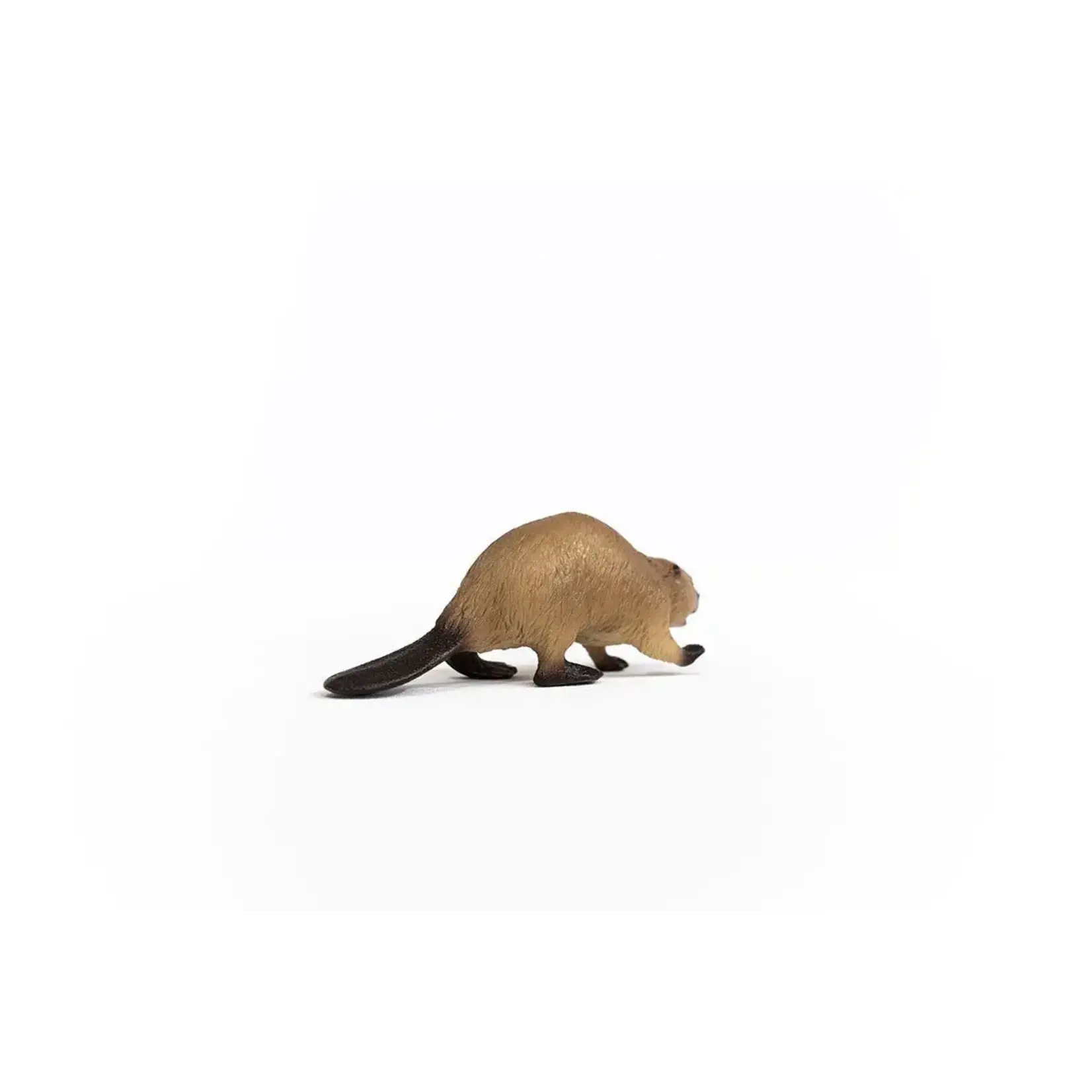 Schleich Beaver