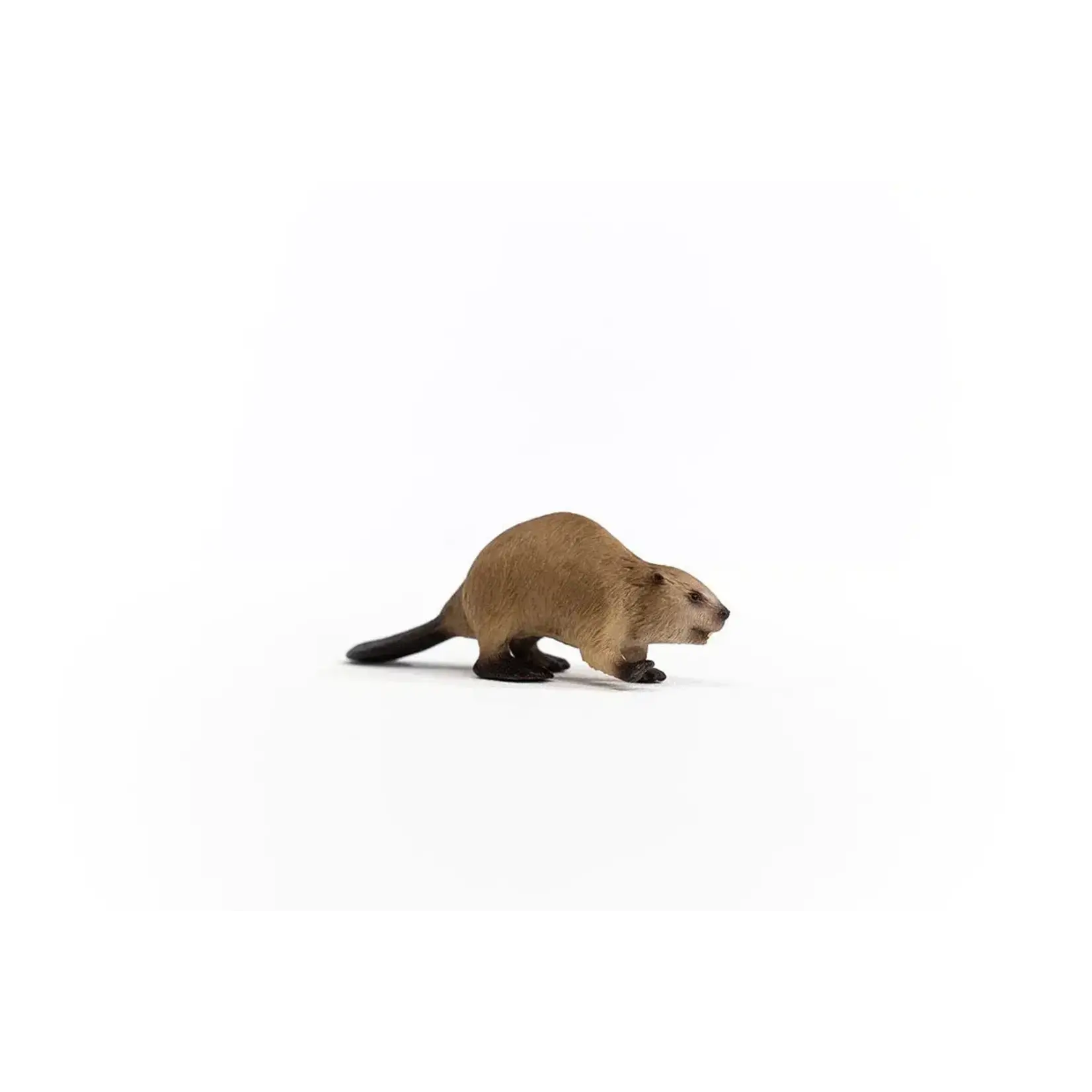 Schleich Beaver