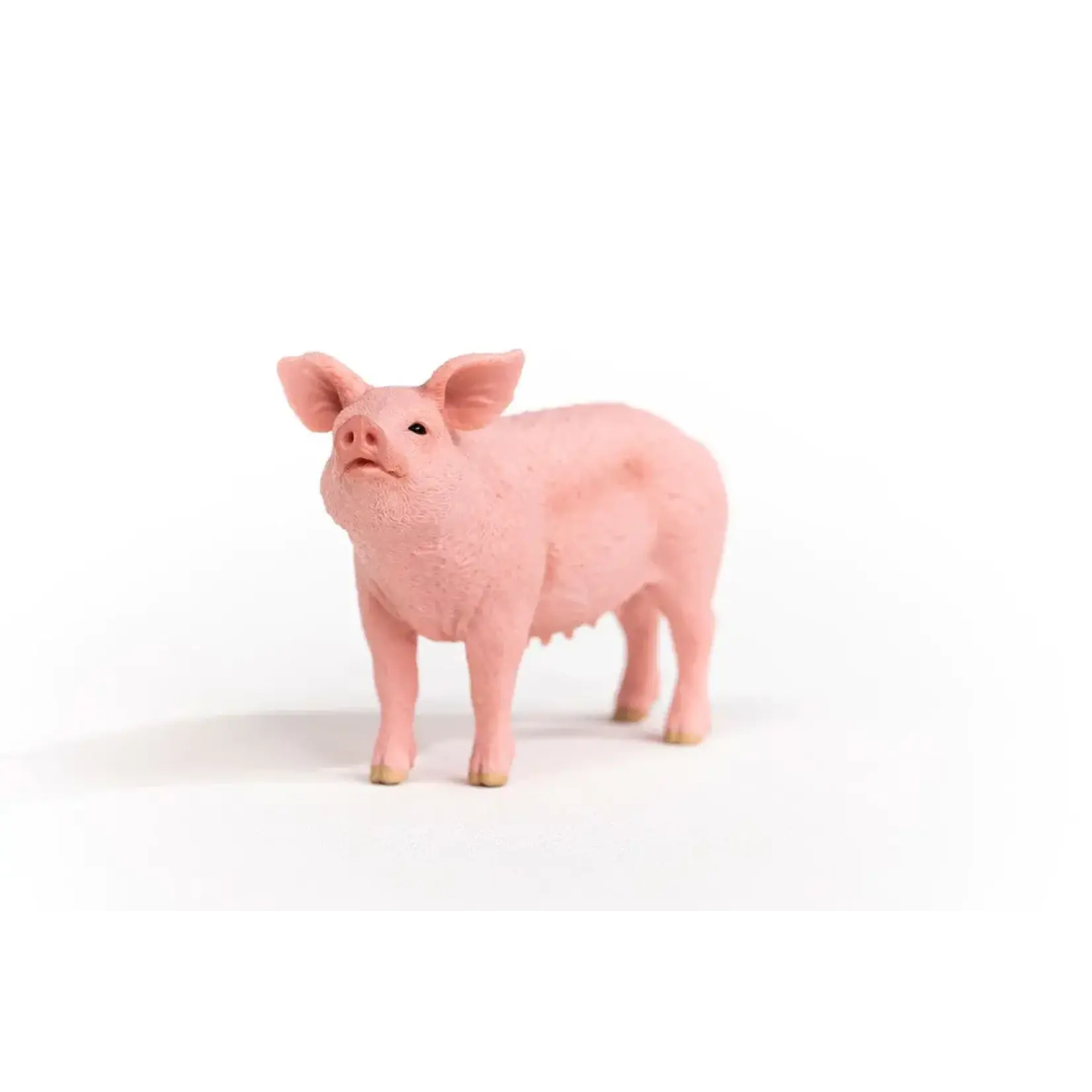 Schleich Pig