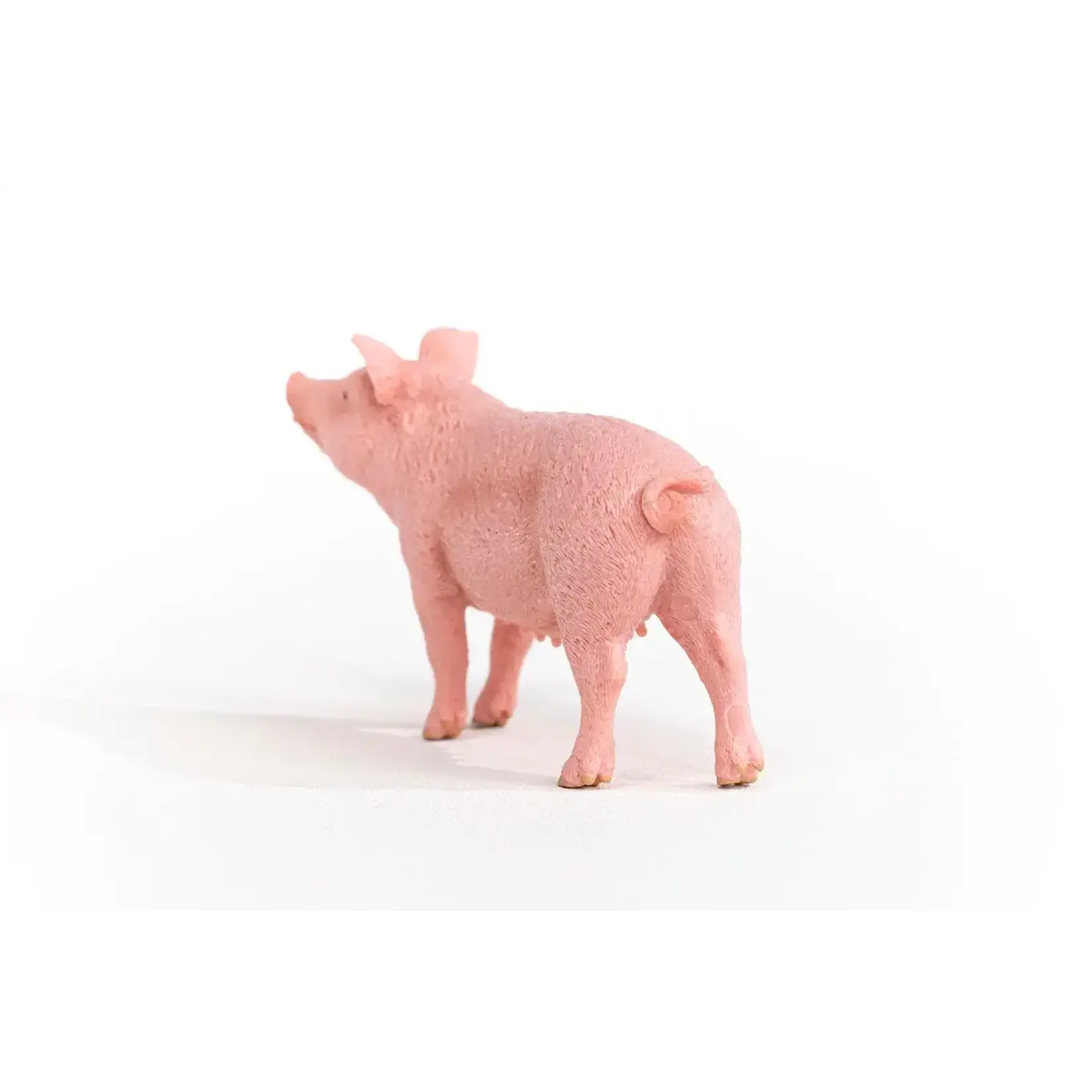 Schleich Pig