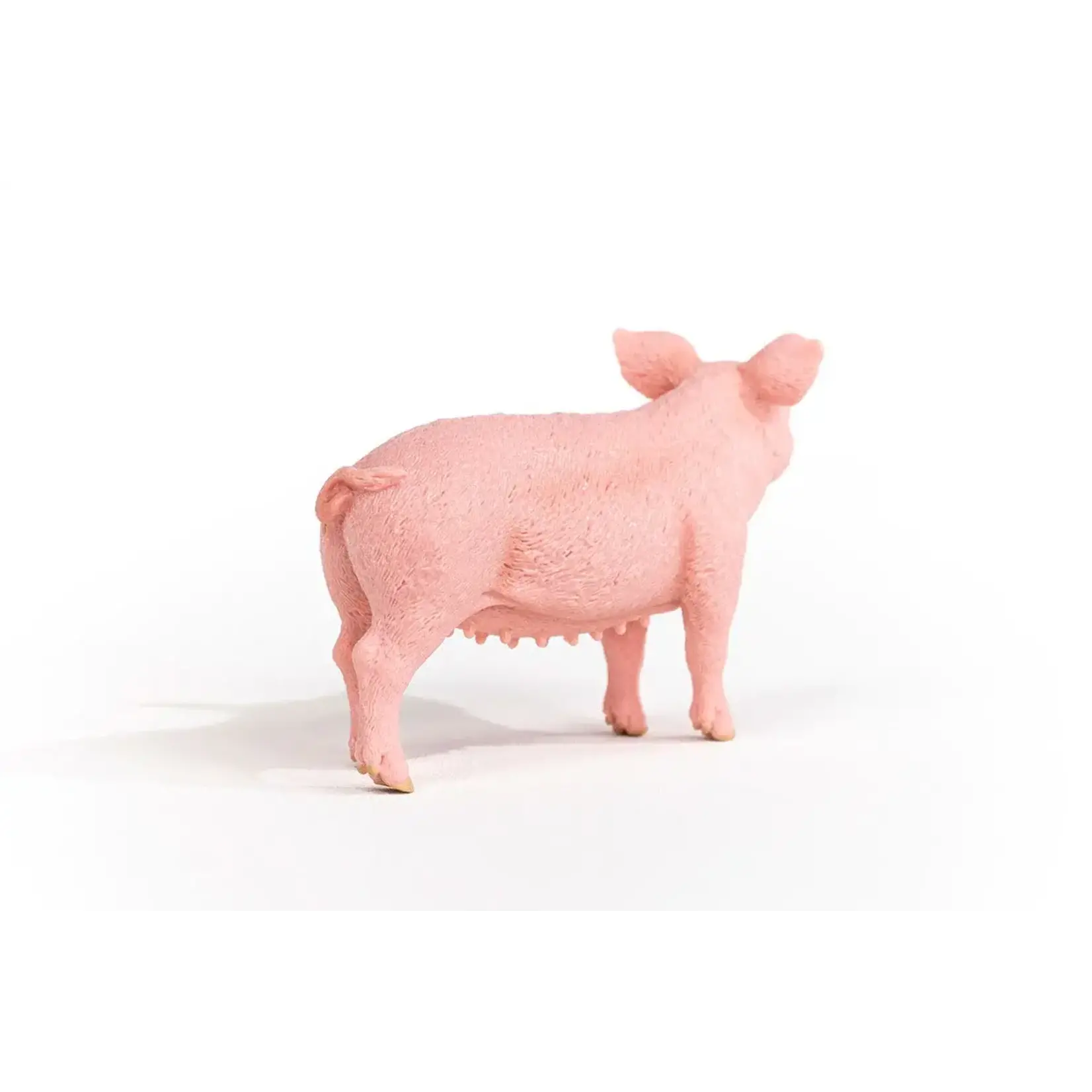 Schleich Pig