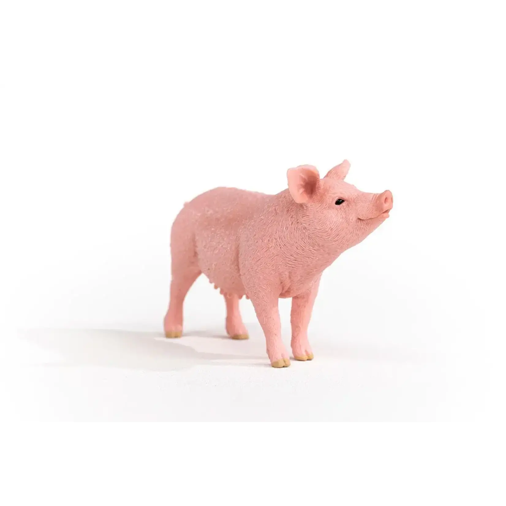 Schleich Pig