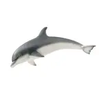 Realistic Dolphin Figure