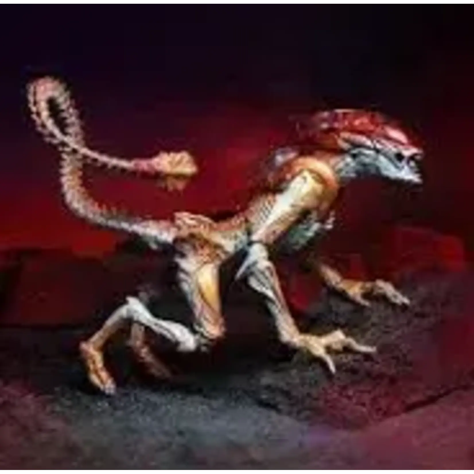 Figure Alien Panther Kenner NECA