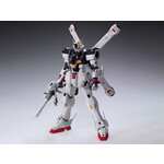 Crossbone Gundam X1 (Ver.Ka) MG 1/100