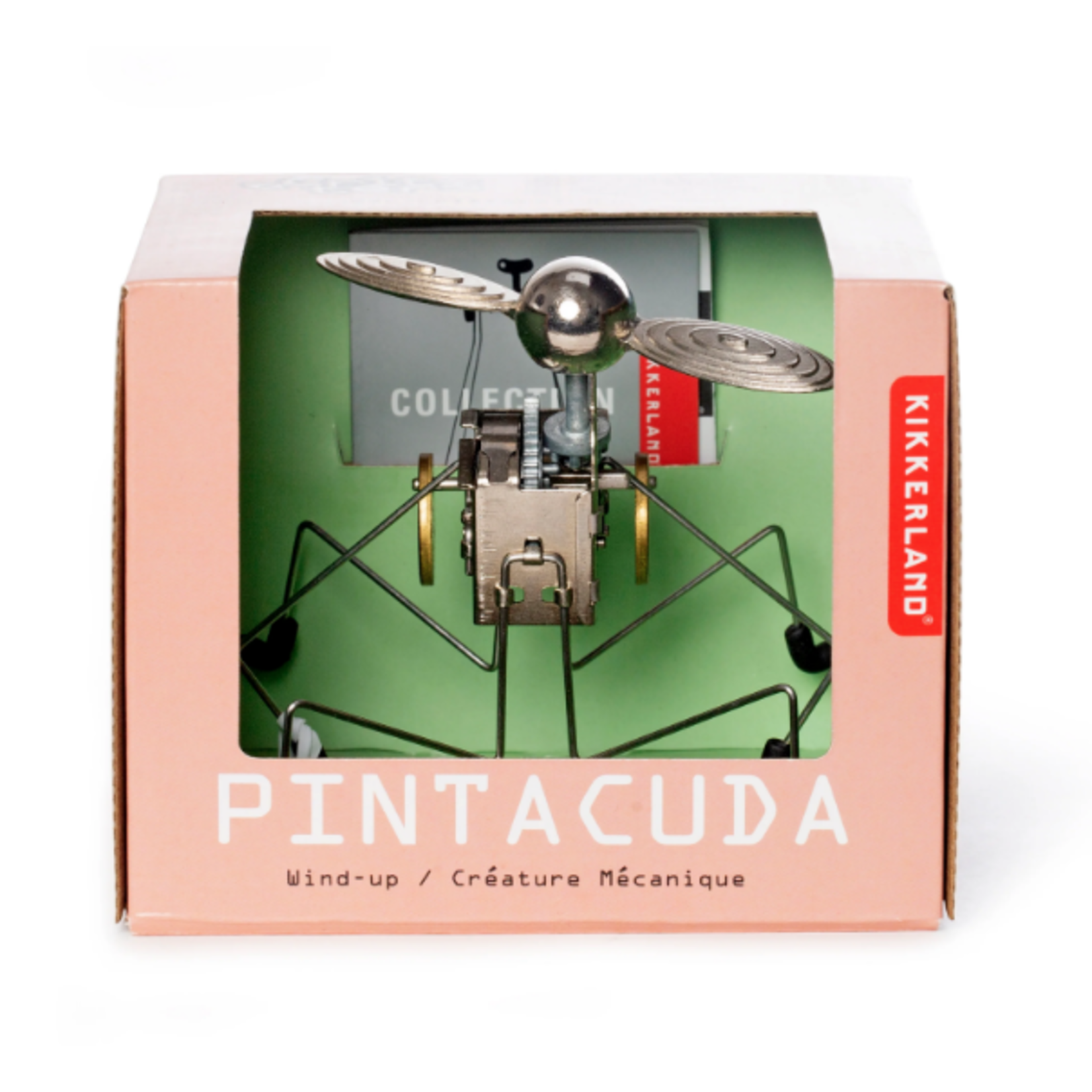 Wind Up Pintacuda