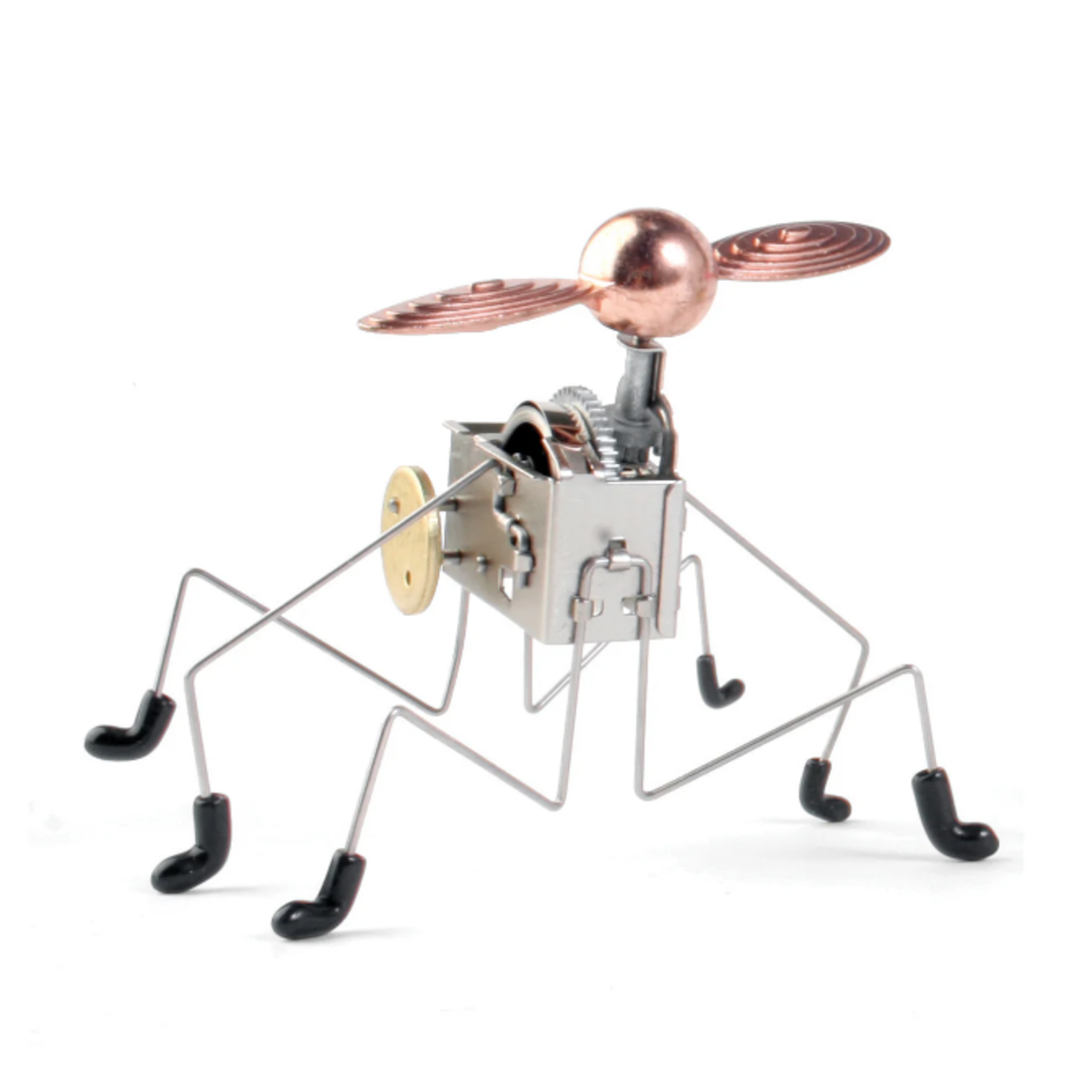 Wind Up Pintacuda