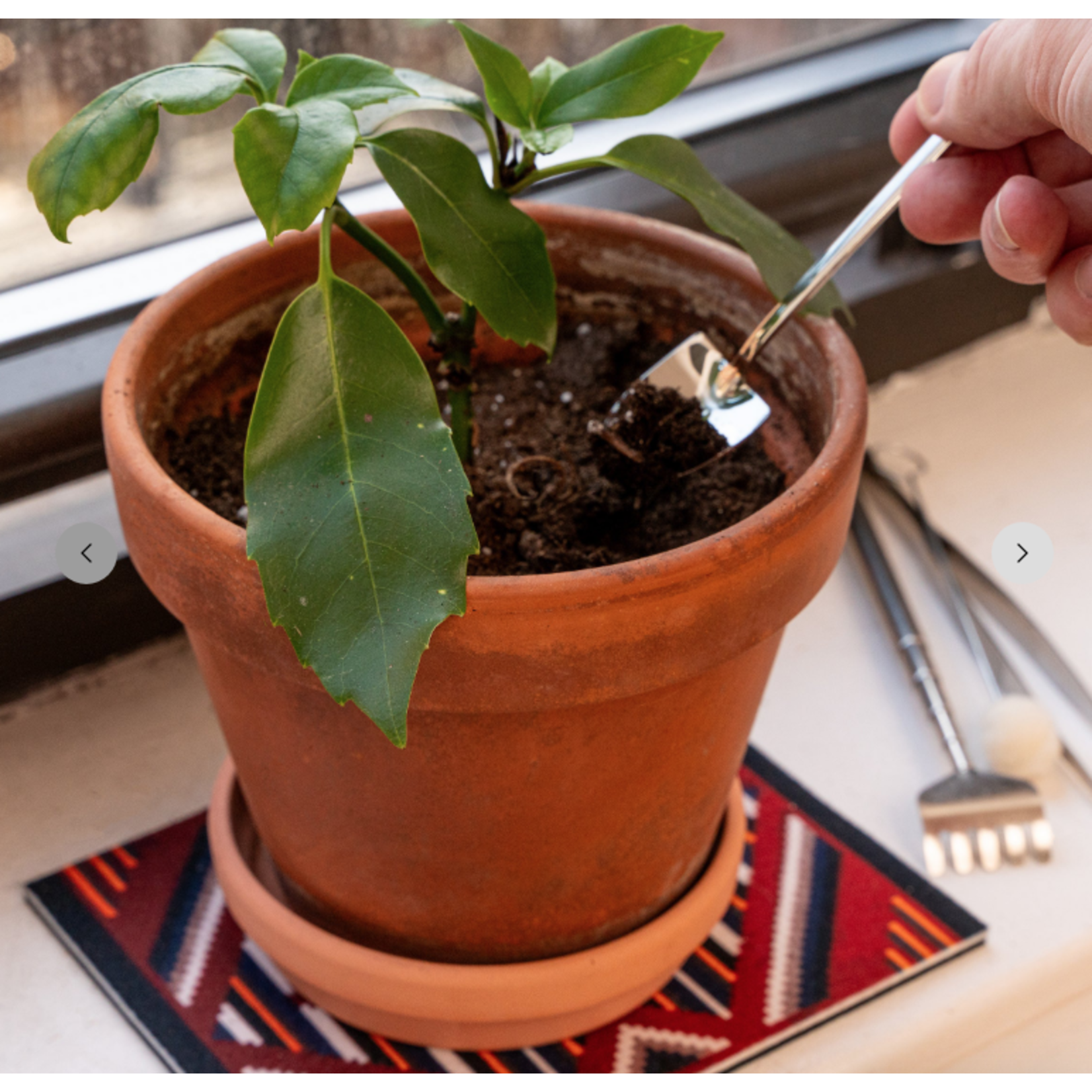 Mini Garden Tools