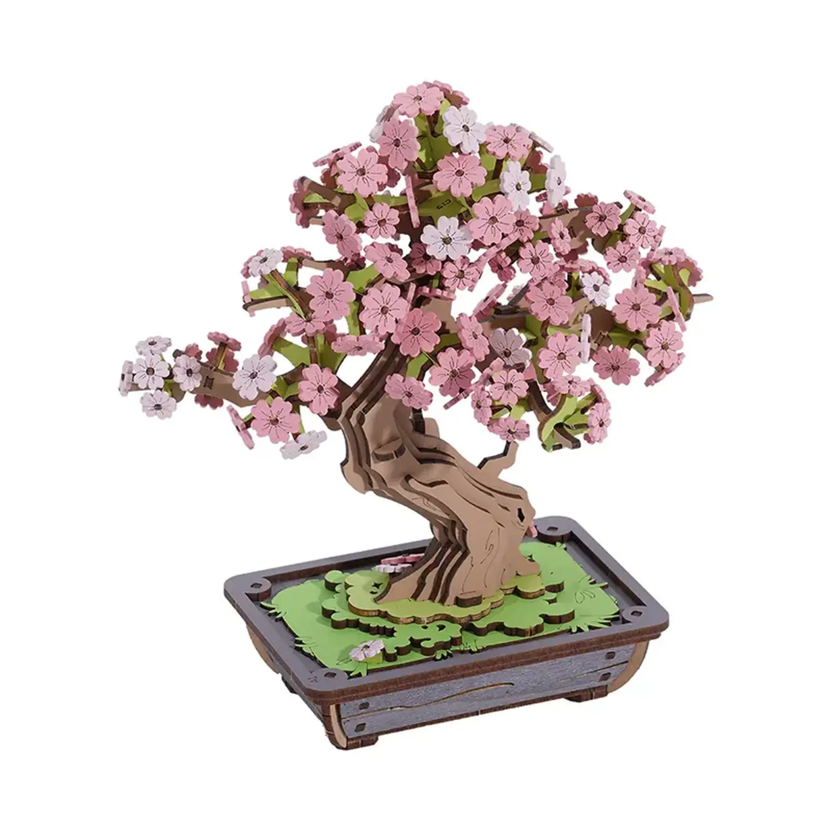Sakura Bonsai Model