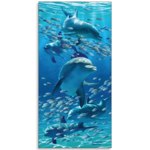 Dolphins 3D Magnet