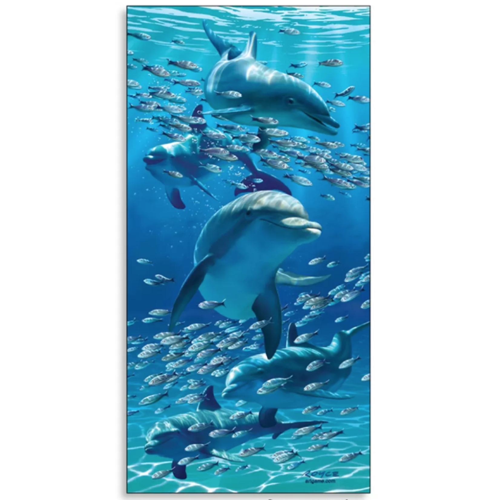 Dolphins 3D Magnet