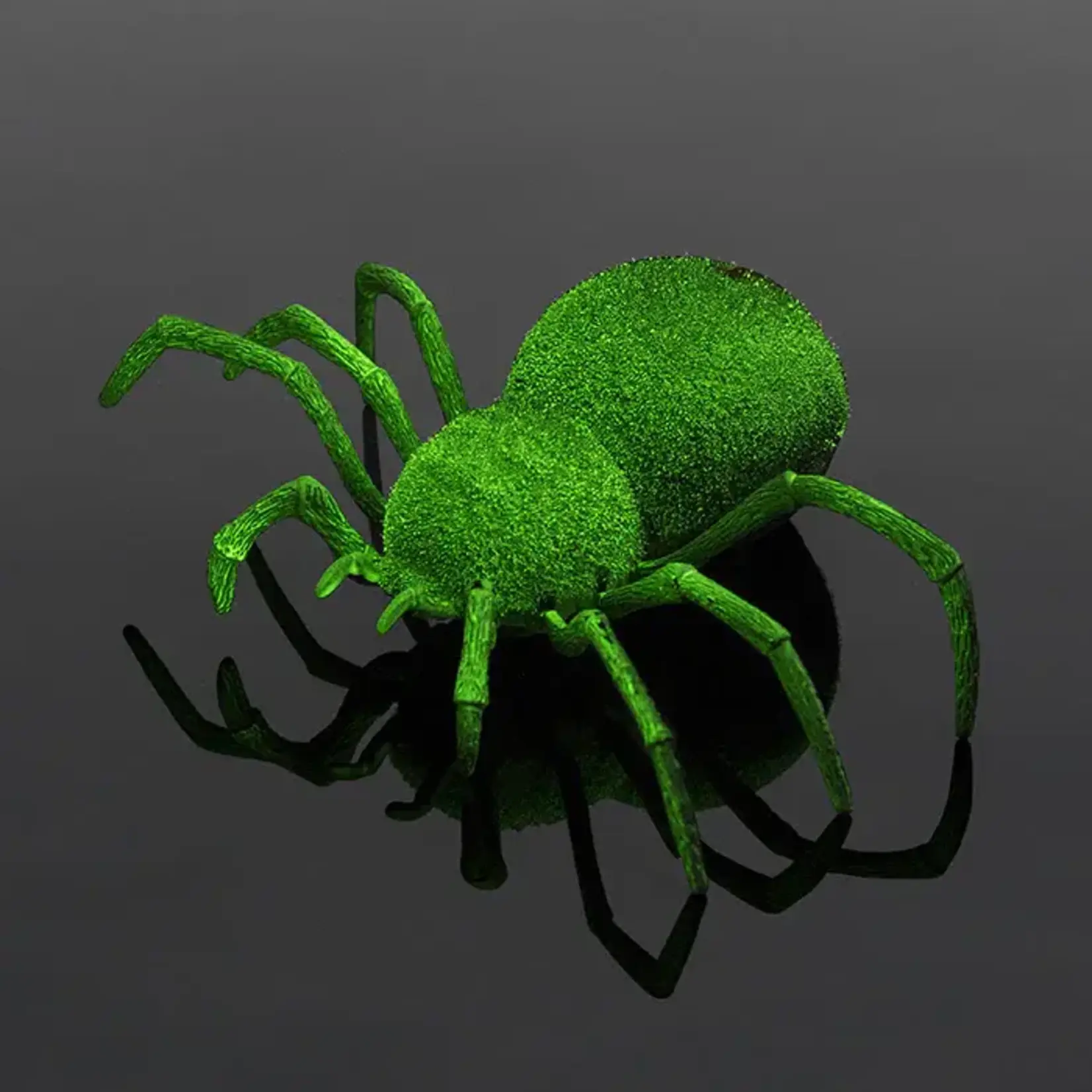 RC Spooky Spider