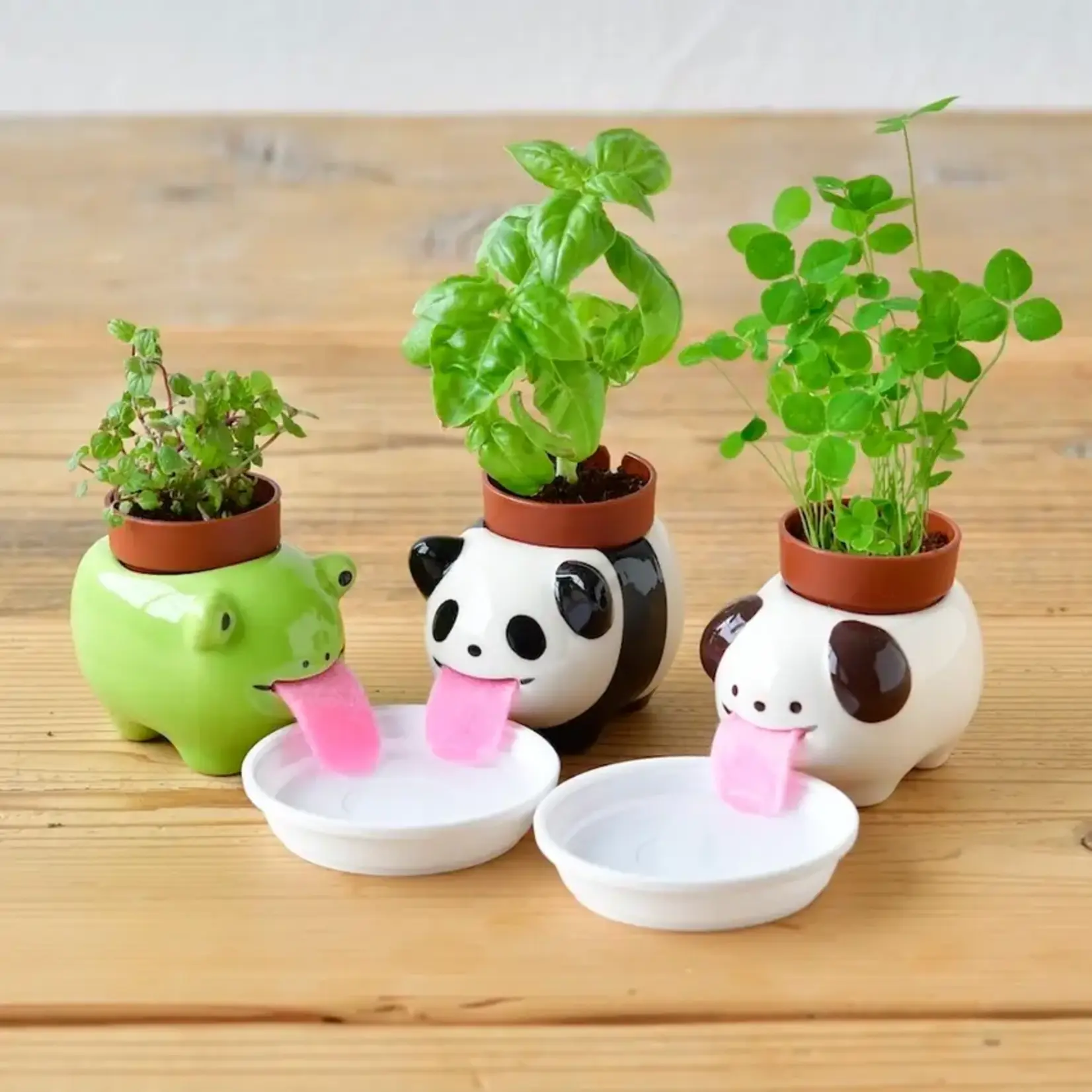 Dog Peropon Self-Watering Plant Pot