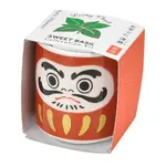 Lucky Mini Planter: Daruma