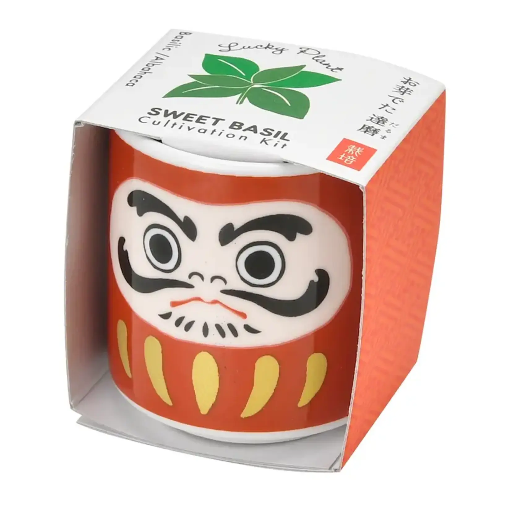 Lucky Mini Planter: Daruma
