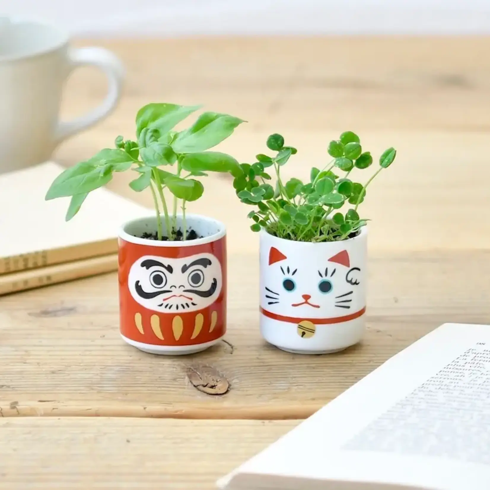 Lucky Mini Planter: Daruma