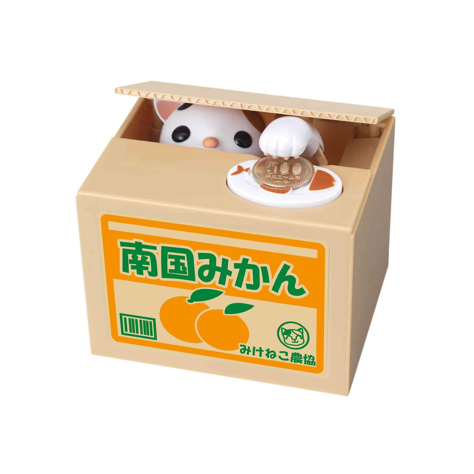 Cat in Box Coin Bank