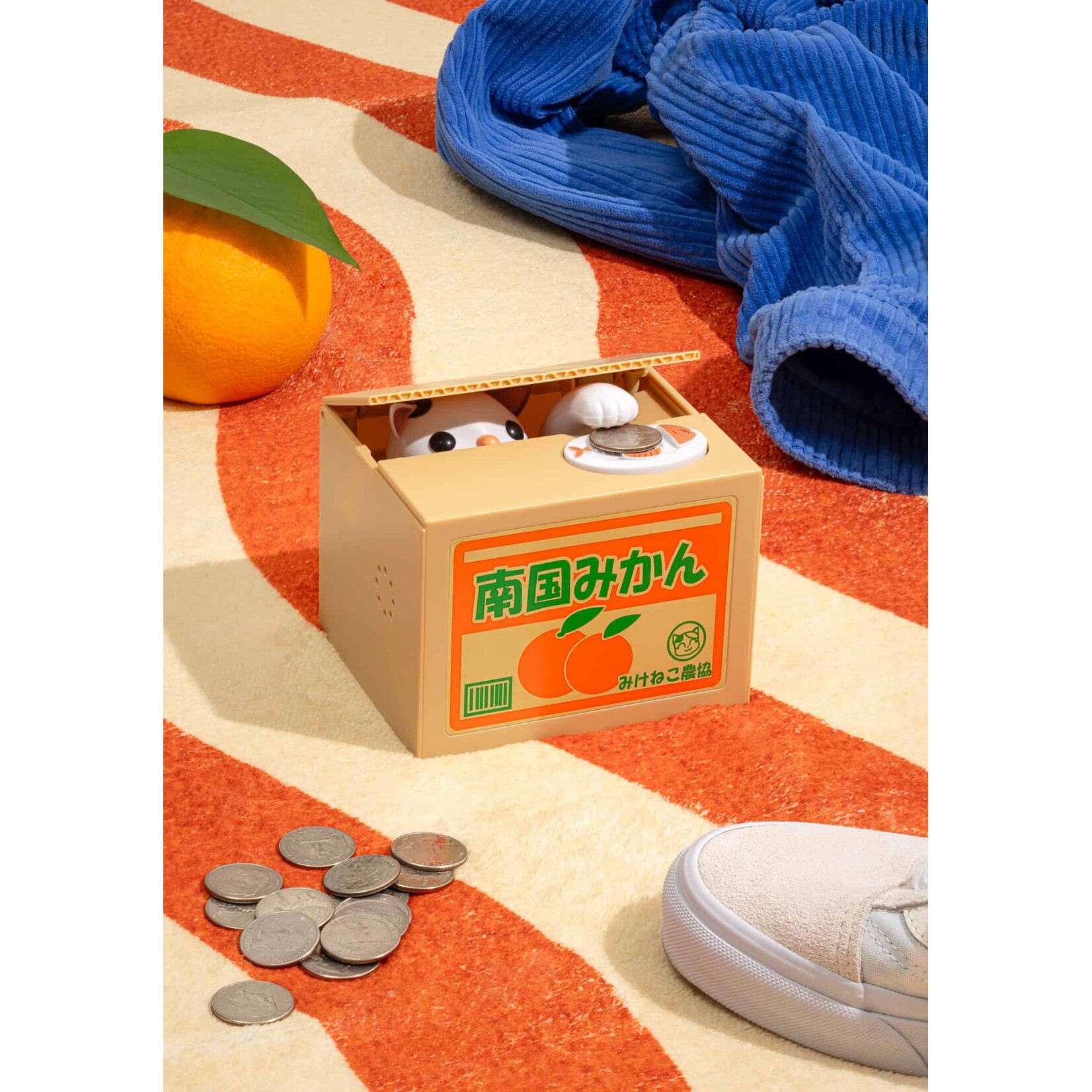 Cat in Box Coin Bank